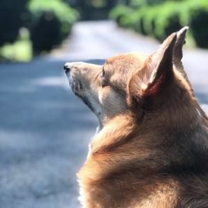 Meet your Posher, Valerie